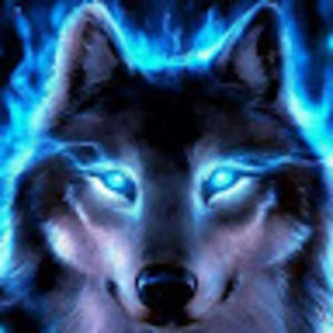 Meet your Posher, Aeneas